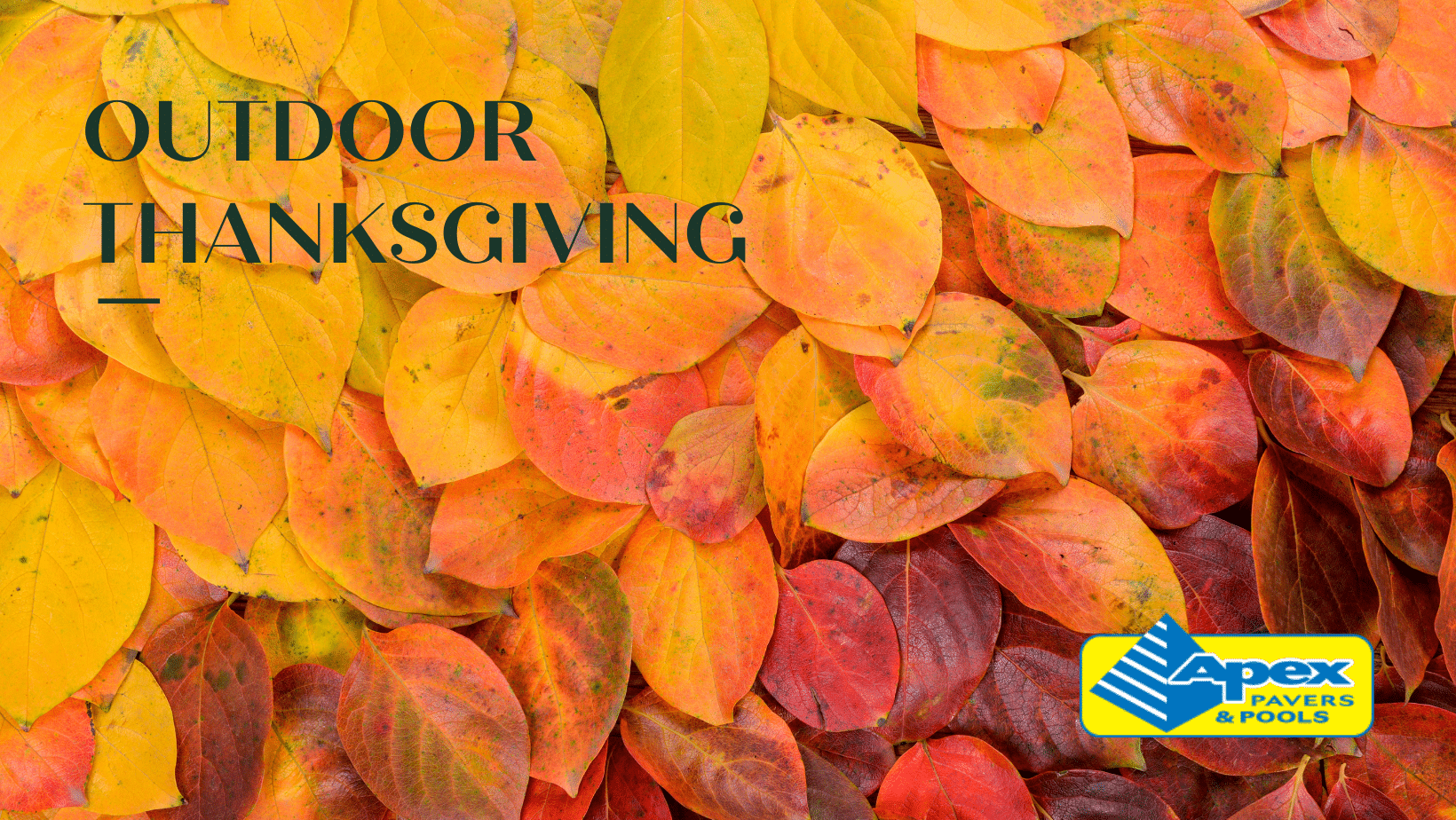 Apex Pavers and Pools outdoor thanksgiving